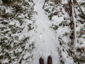 Snow on Corsair Trail