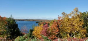 Fall Foliage View