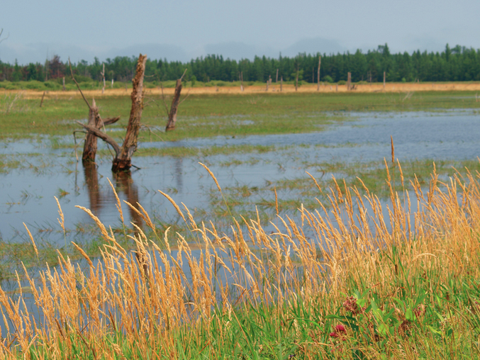 Tuttle Marsh Wildlife Area