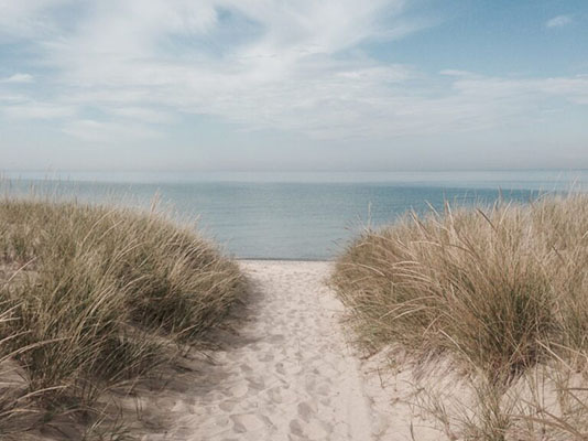 Beach grass path to lake