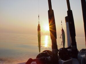 fishing rod close up at sunset