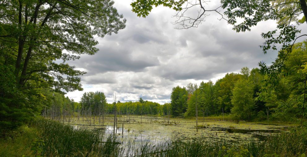 Reid Lake