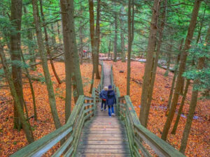 Iargo Springs in fall