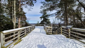 Snow covered trail at Highbanks