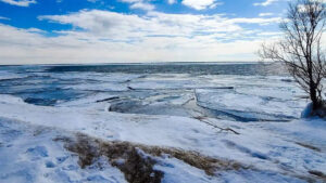 Ice on water from Sandy Hook Trail