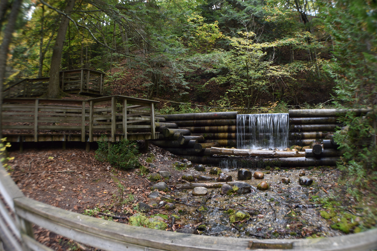 Iargo Springs water fall