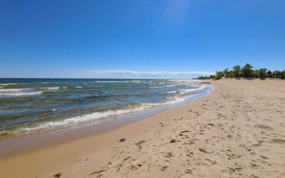 Oscoda’s Best Beaches