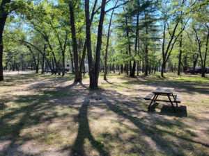 Old Orchard Campground sites