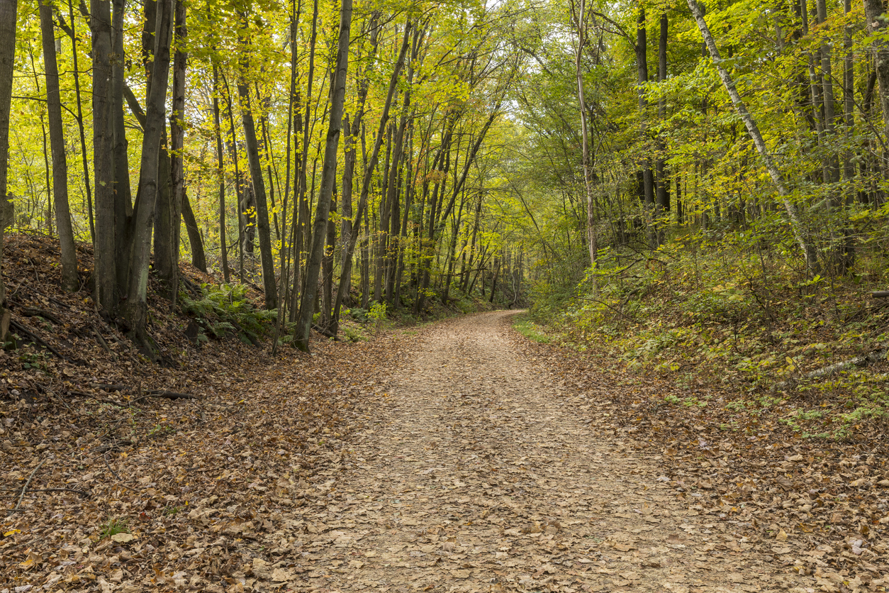 Hiking trail