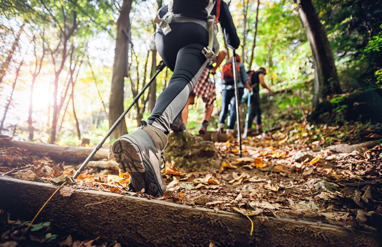 People hiking on trail