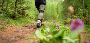 Person walking on forested trails in spring