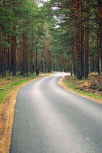 paved trail through woods