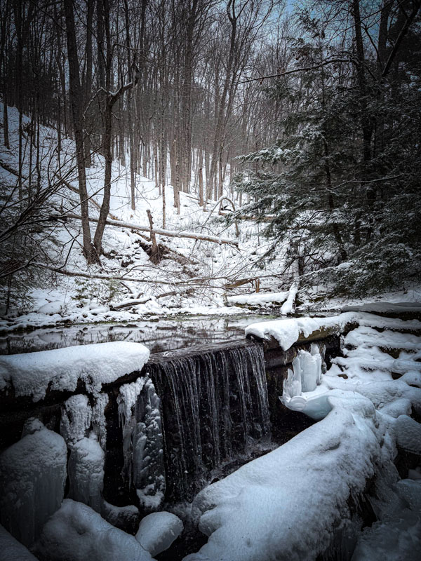 Iargo Springs in winter