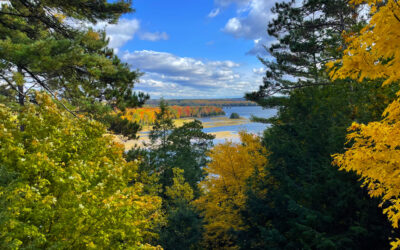 Fall in Love with Oscoda