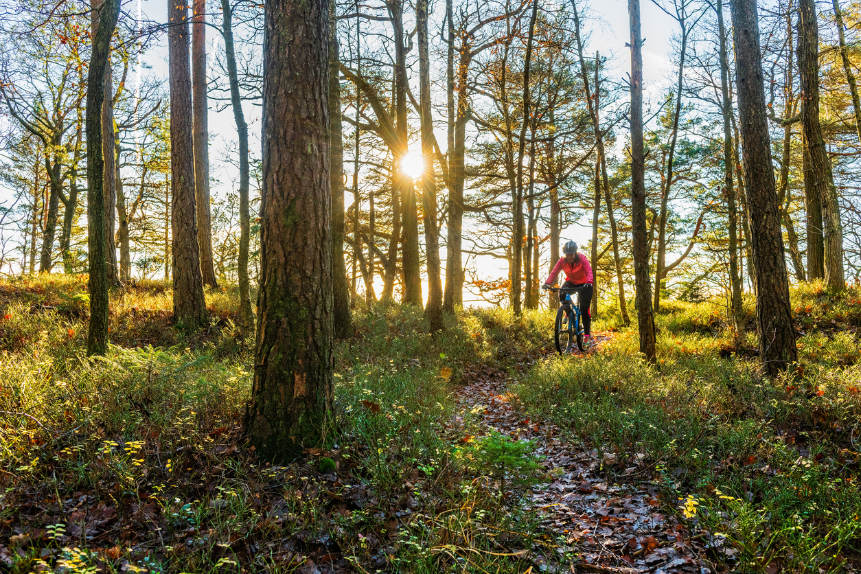 Person biking through woods in fall